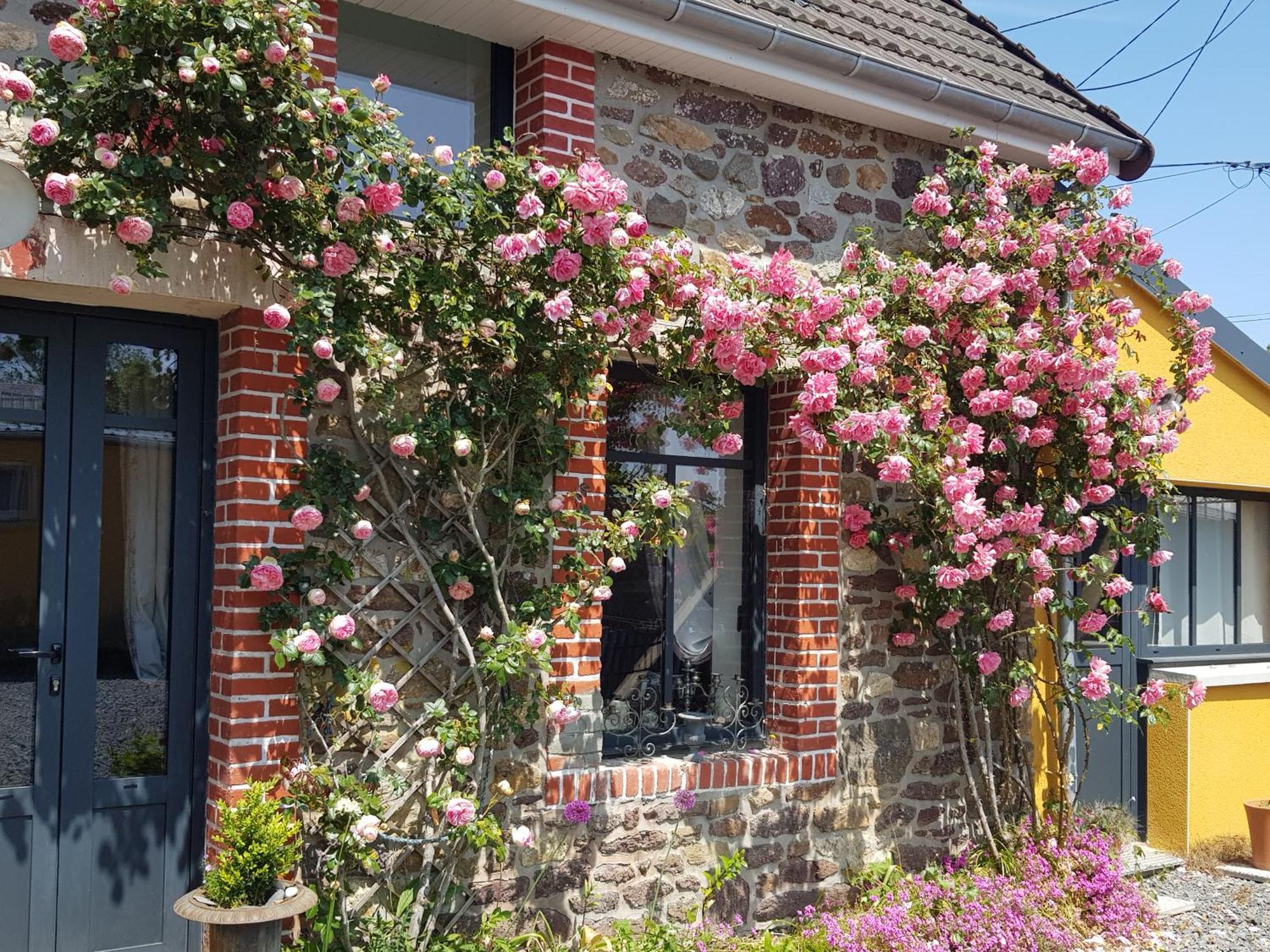 Le Jardin Bed & Breakfast Coudeville Exterior foto