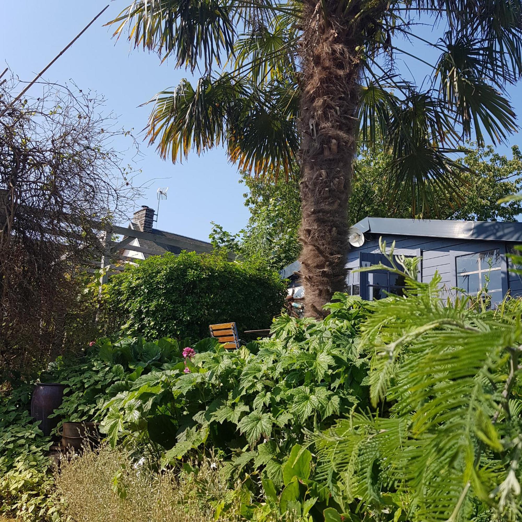 Le Jardin Bed & Breakfast Coudeville Exterior foto