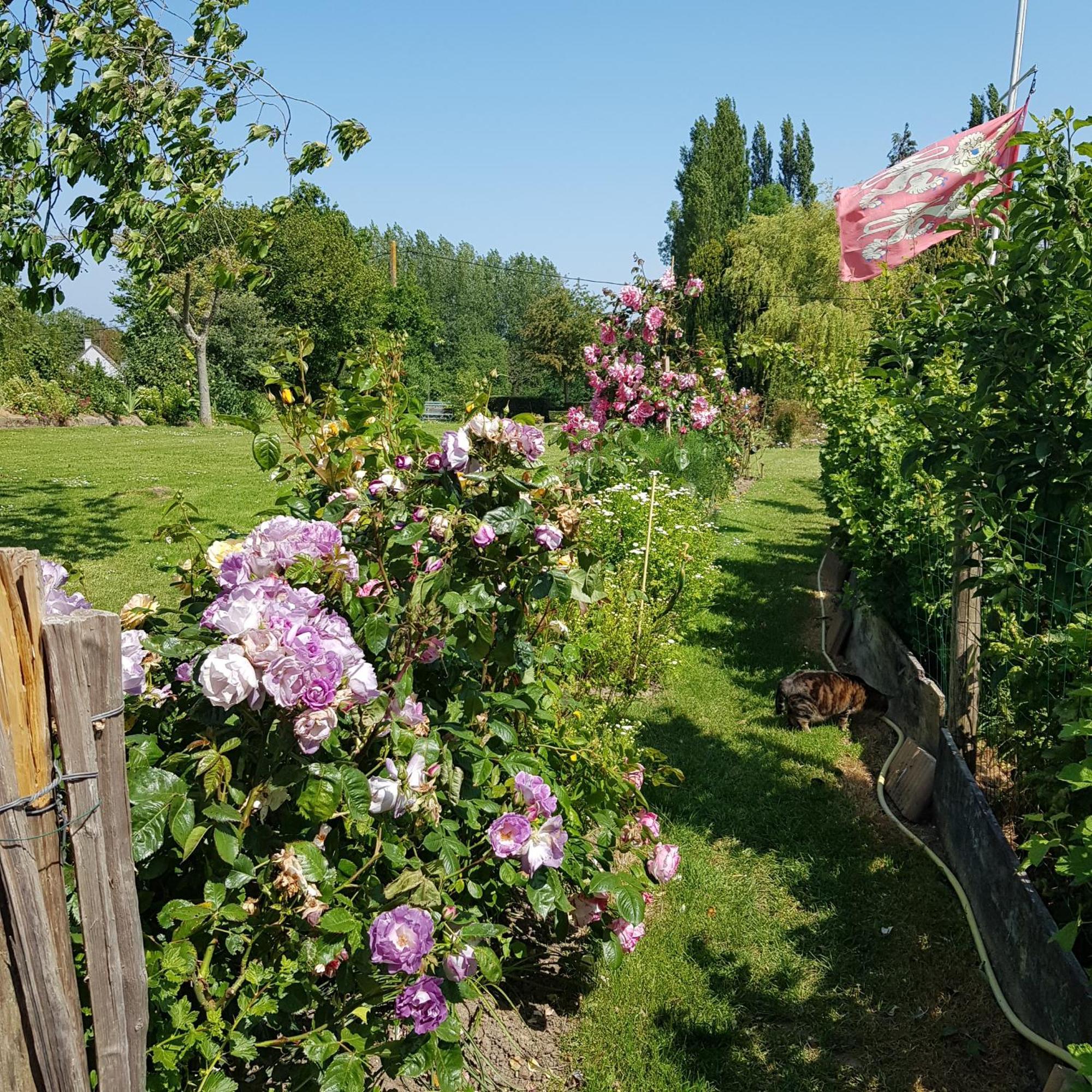 Le Jardin Bed & Breakfast Coudeville Exterior foto